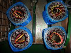 електрически верижен повдигач safety1591.jpg